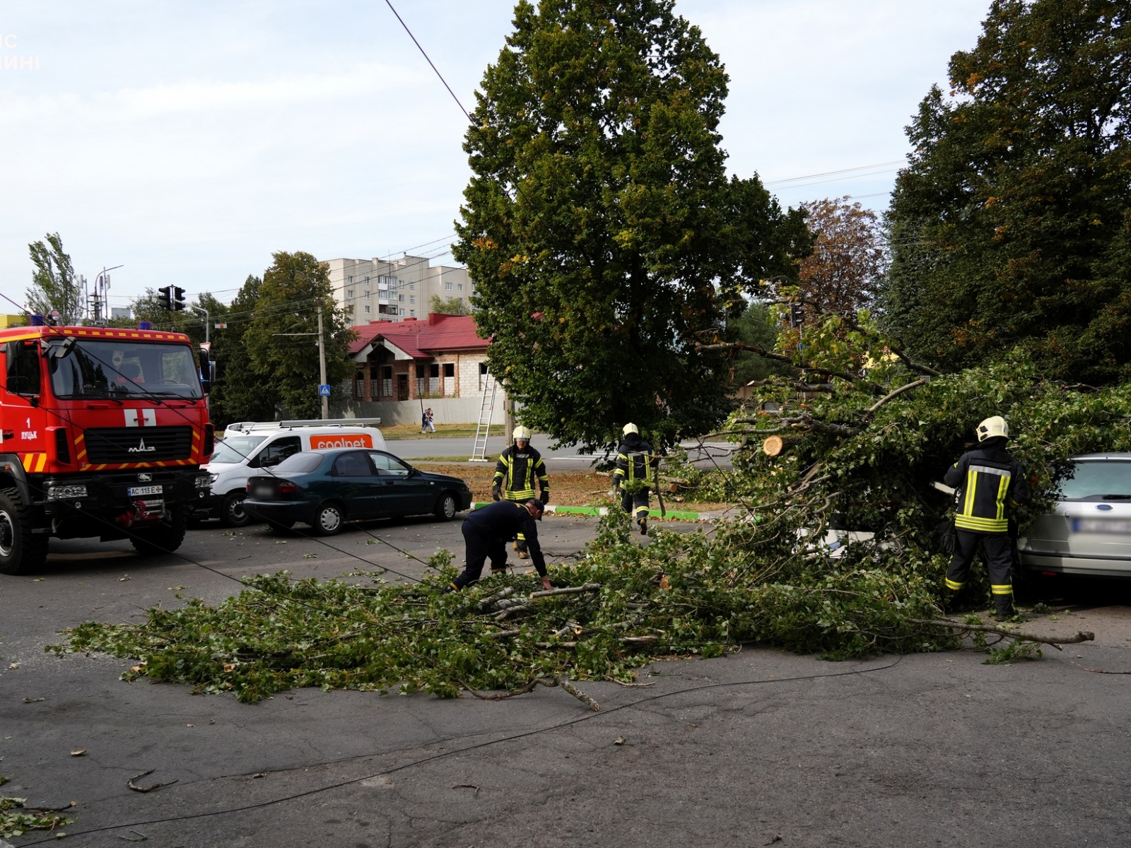 У Луцьку рятувальники "визволили" автівки з-під повалених дерев (ФОТО)