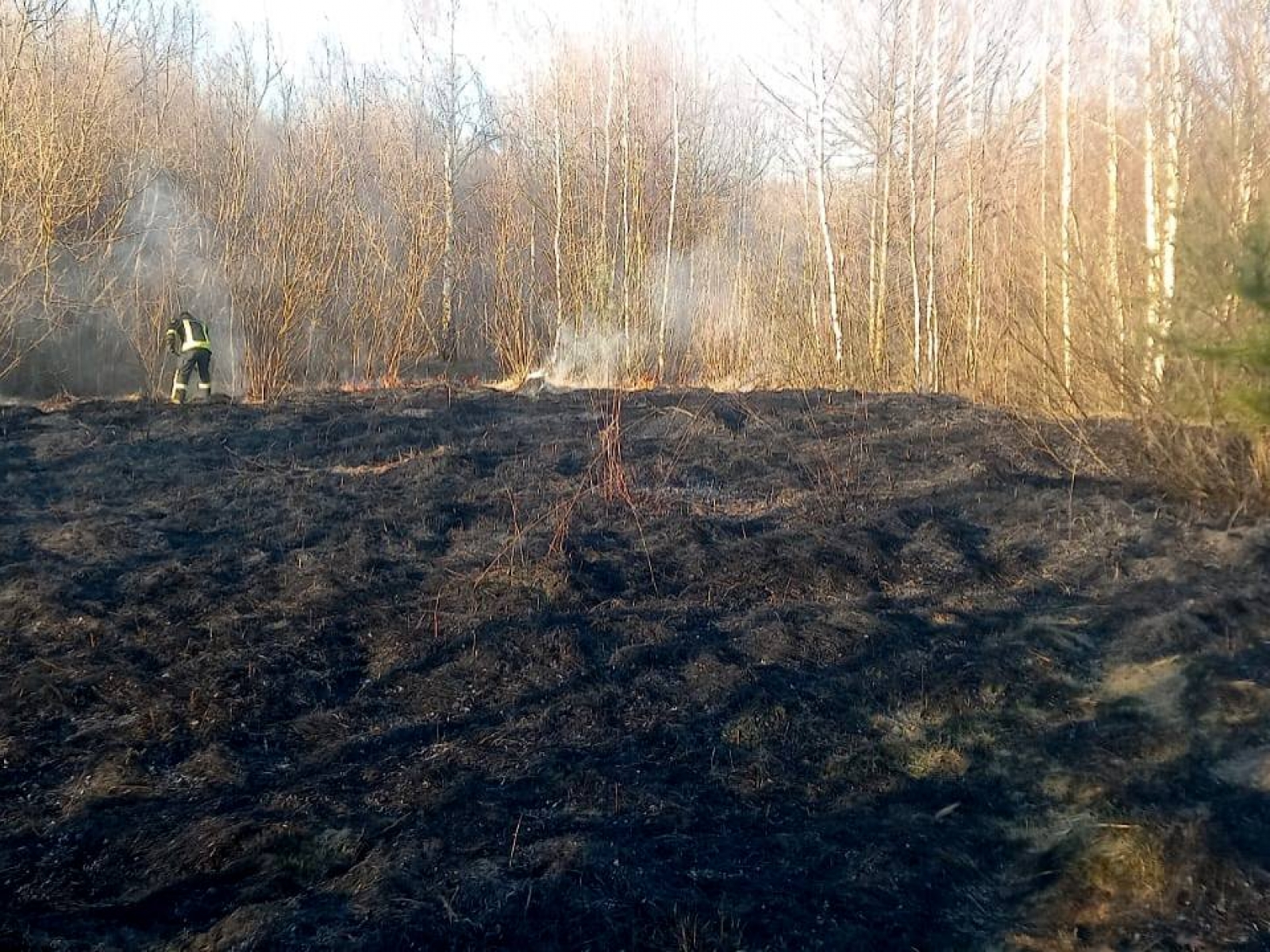 На двох вулицях Ковеля загасили пожежі сухої трави