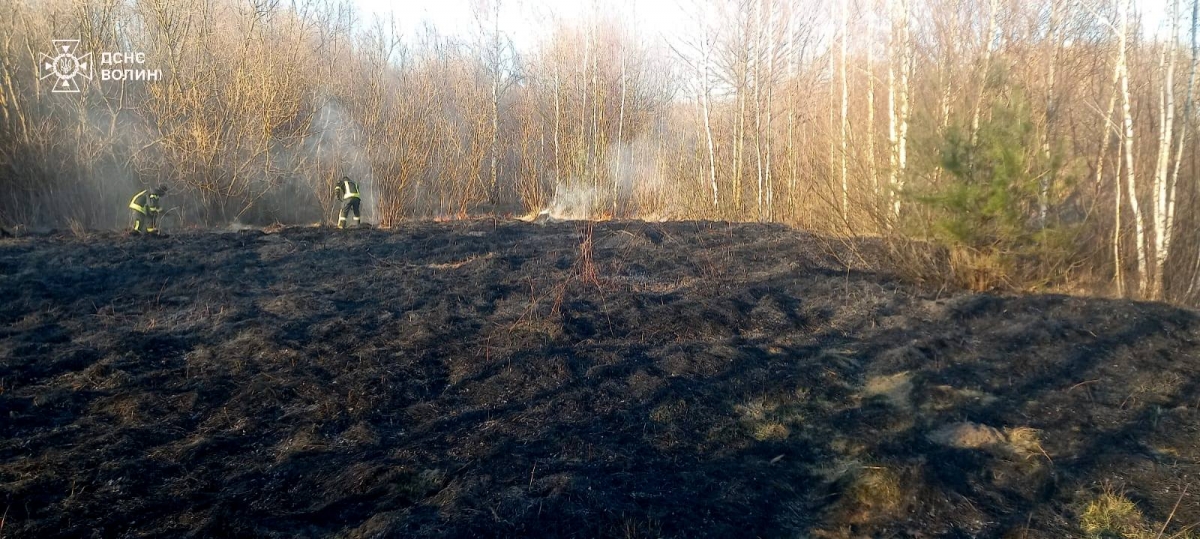 На двох вулицях Ковеля загасили пожежі сухої трави