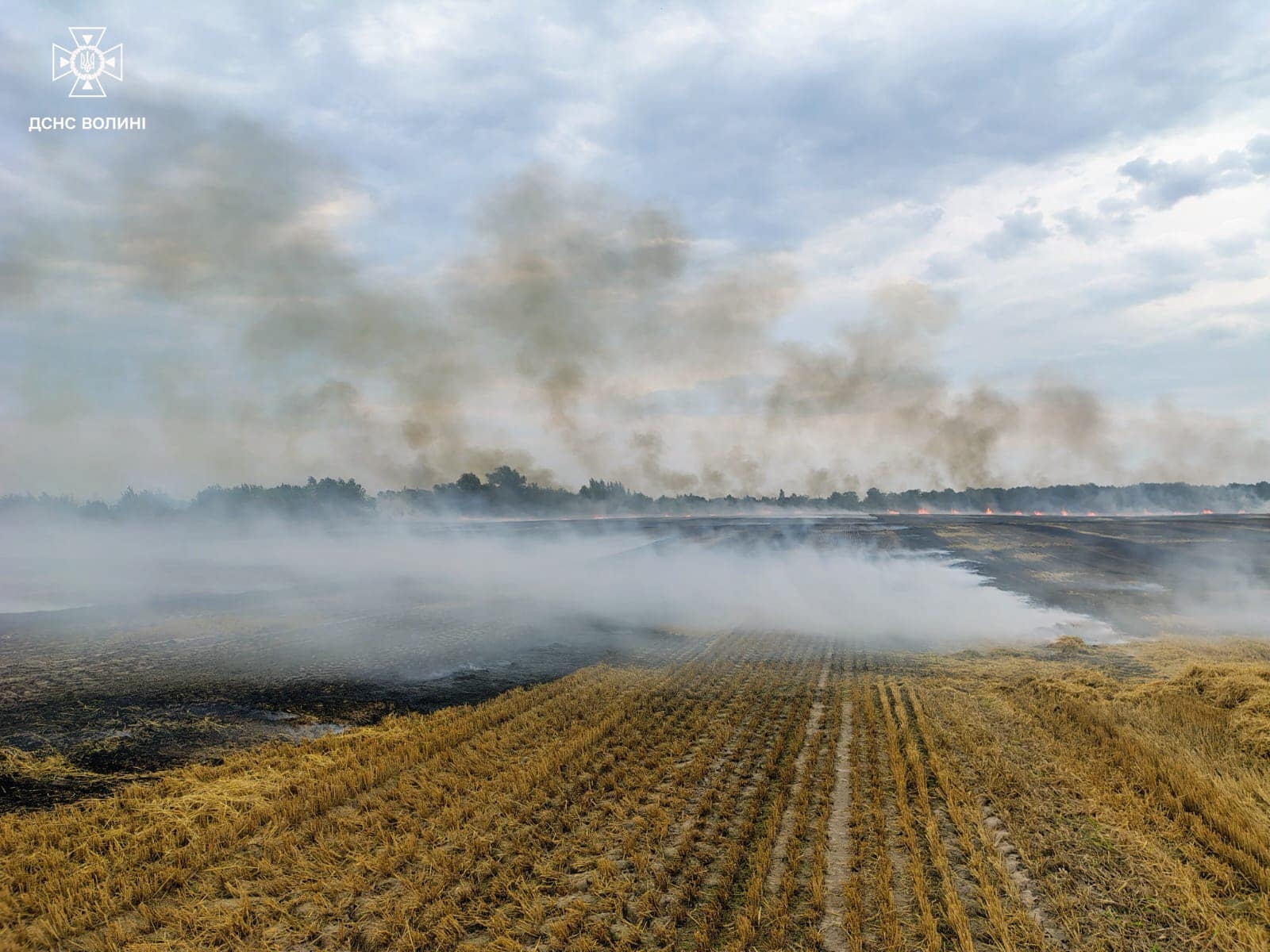 На Волині горіла стерня: підозрюють підпал