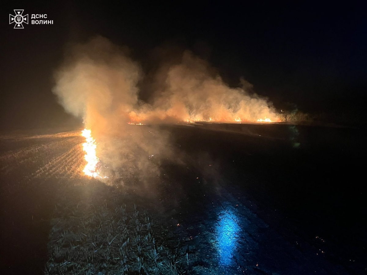 Через необережне паління на Волині горіла стерня