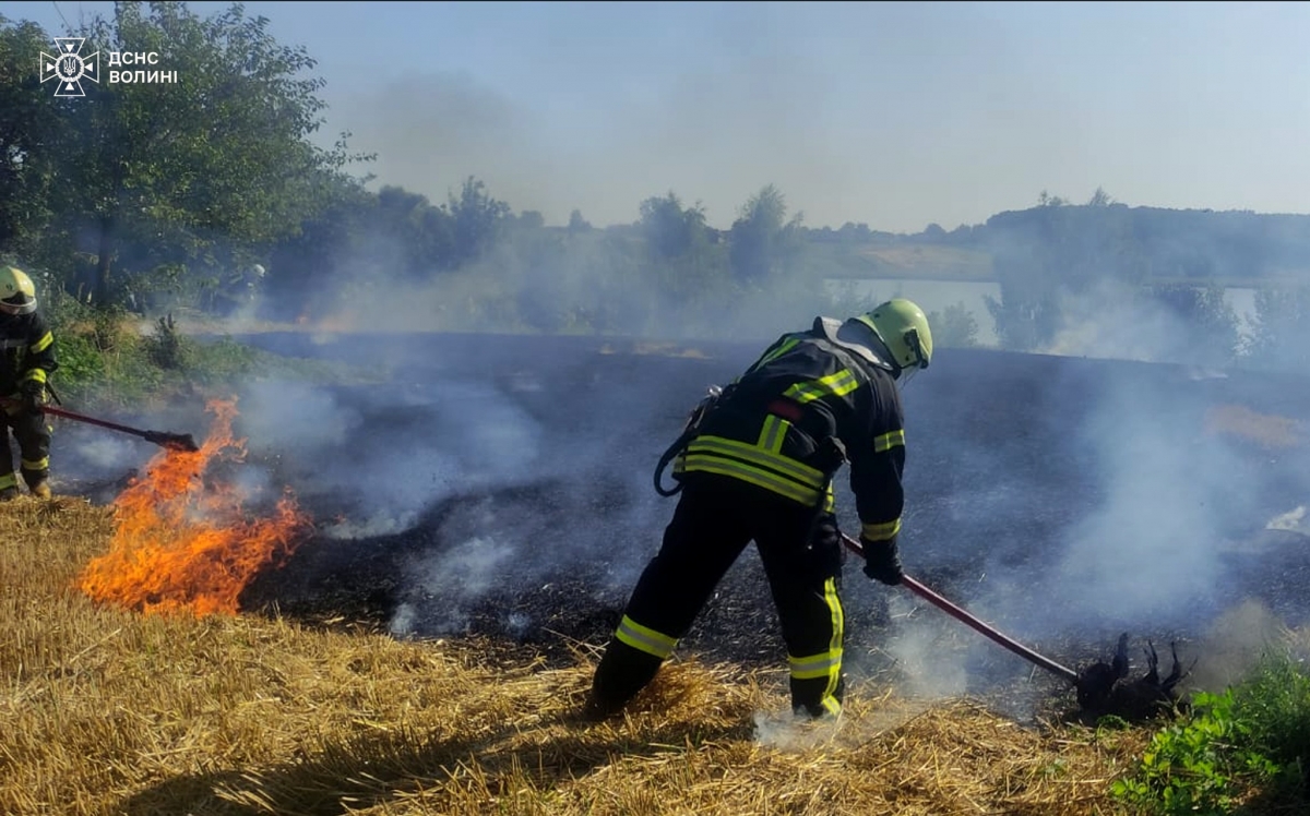 На Волині вогнеборці ліквідували низку пожеж сухої рослинності